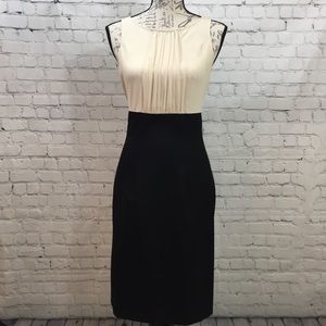 The Limited Sleeveless Dress